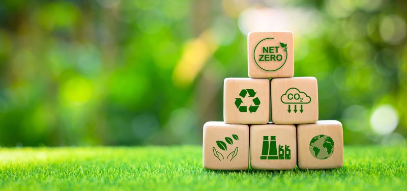 Skills for a Net Zero World: Unlock new business opportunities – Workshop